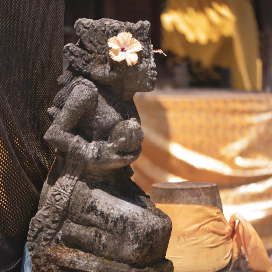 Pima Homestay Pesanggaran 외부 사진